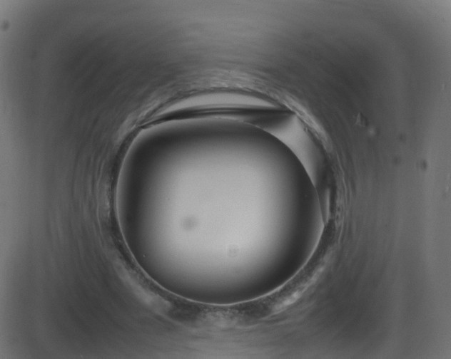 X0000086280489200704051339