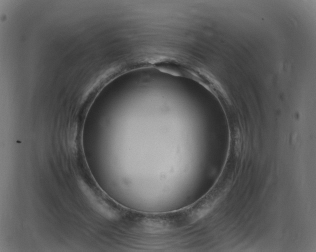 X0000086280490200704051339