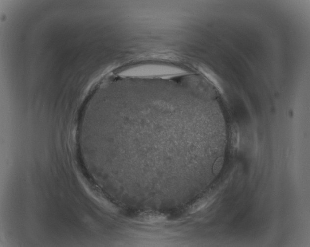 X0000086280491200704051339