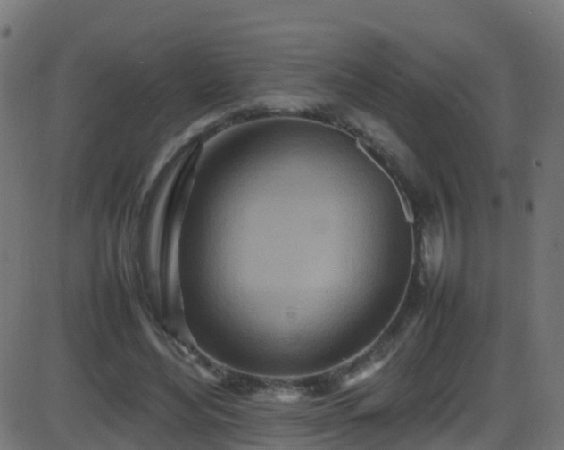 X0000086280492200704051339