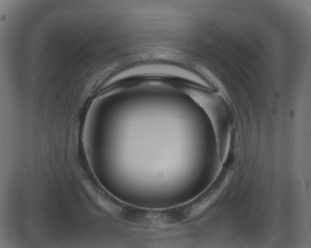 X0000086280493200704051339