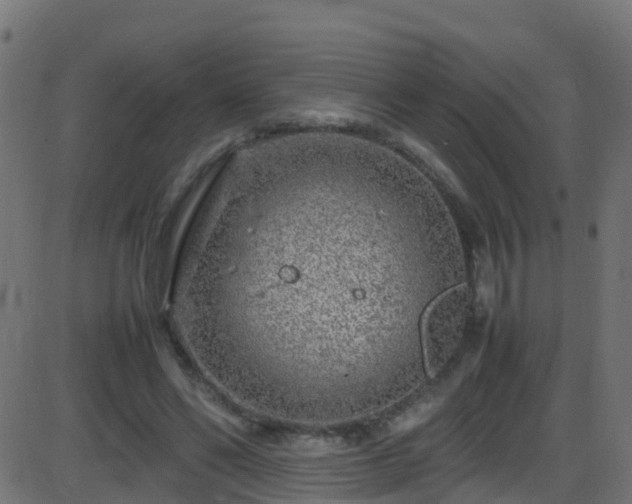 X0000086280494200704051339