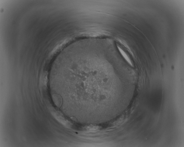 X0000086280495200704051338