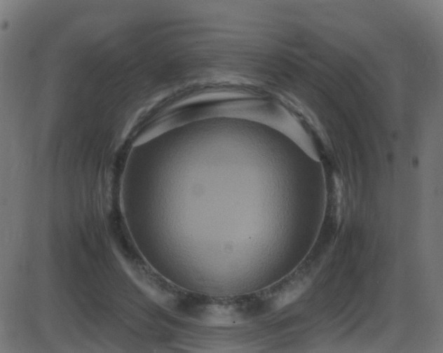 X0000086280496200704051338