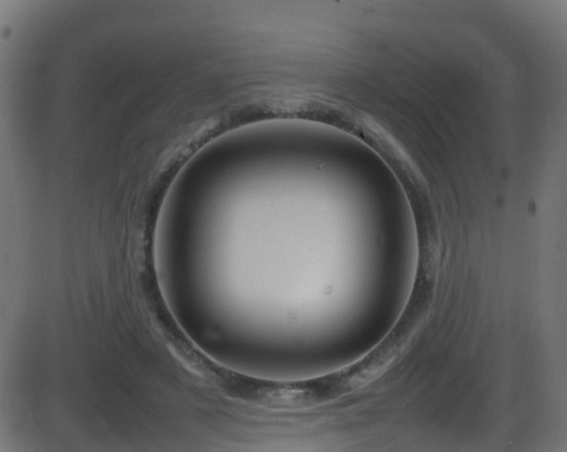 X0000086280497200704051338