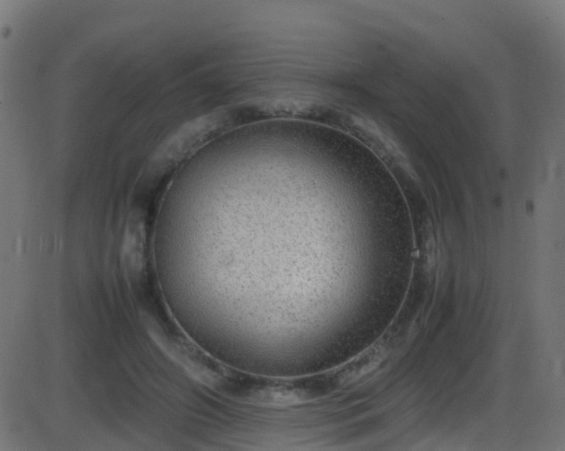 X0000086280498200704051338