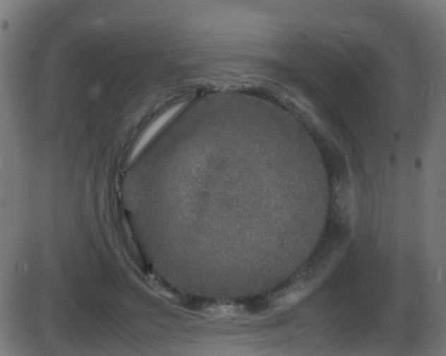 X0000086280499200704051338