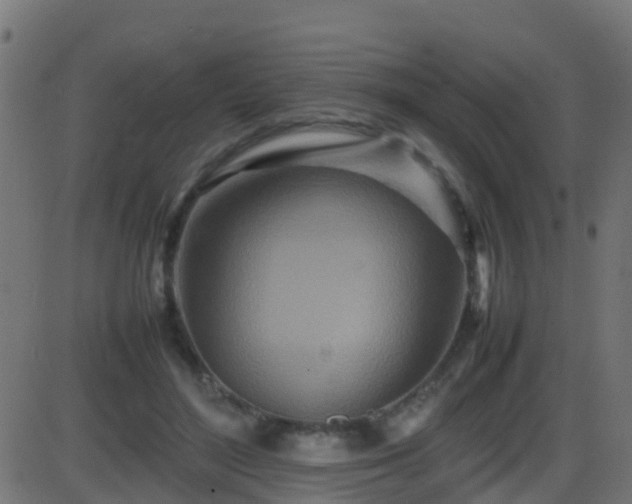 X0000086280500200704051338