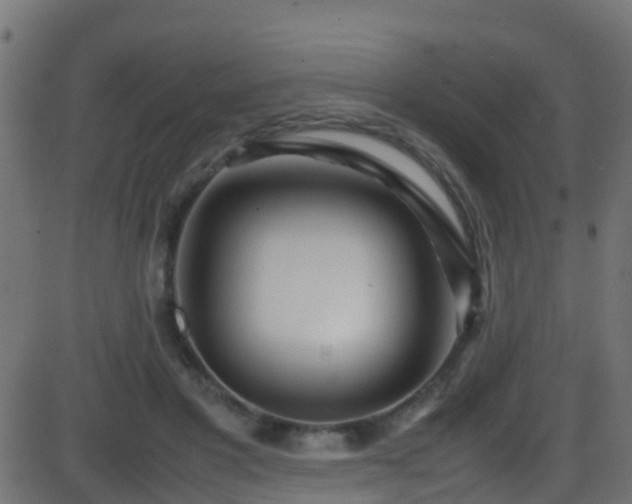 X0000086280501200704051338