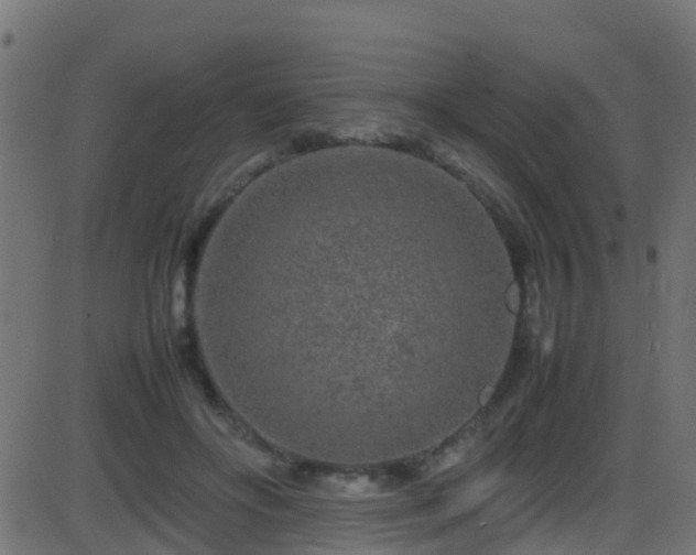 X0000086280502200704051338