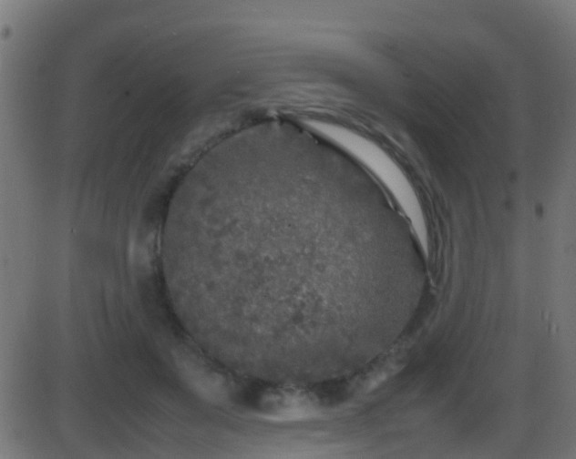 X0000086280503200704051338