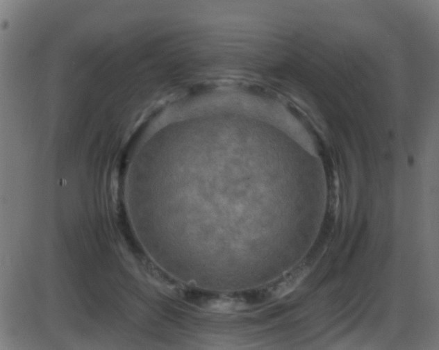 X0000086280504200704051338