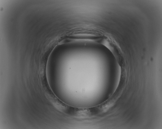 X0000086280505200704051338