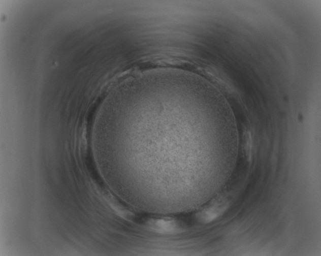 X0000086280506200704051338