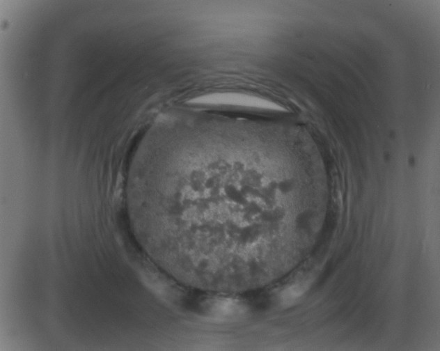 X0000086280507200704051338