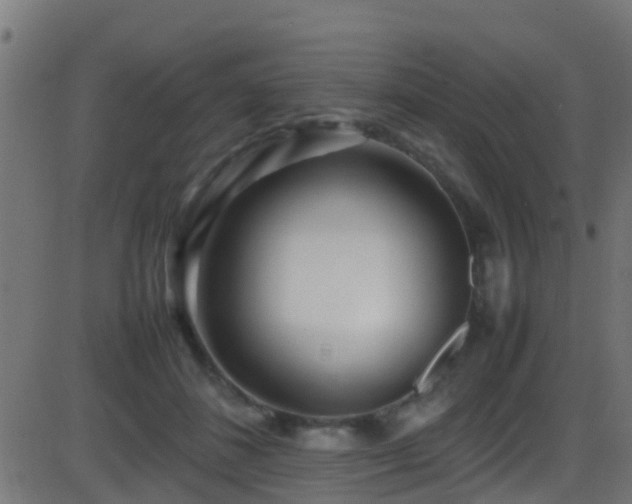 X0000086280508200704051338