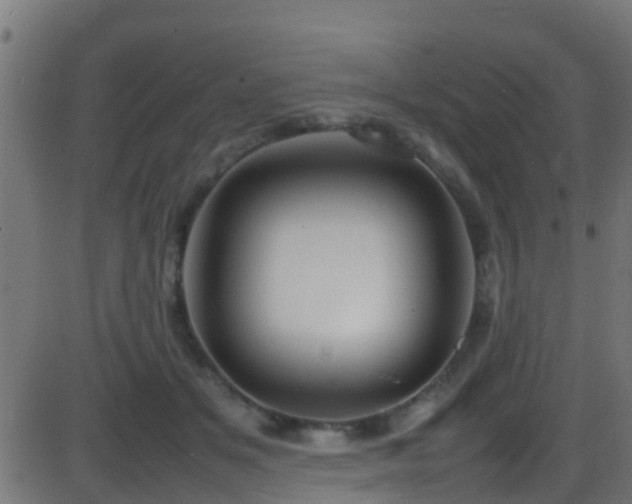 X0000086280509200704051338