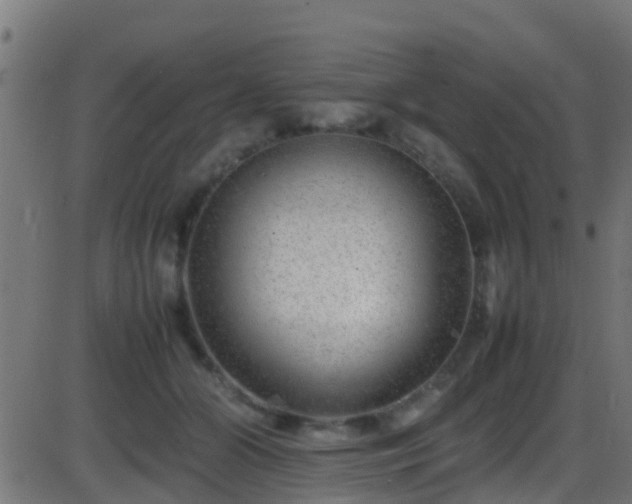 X0000086280510200704051338