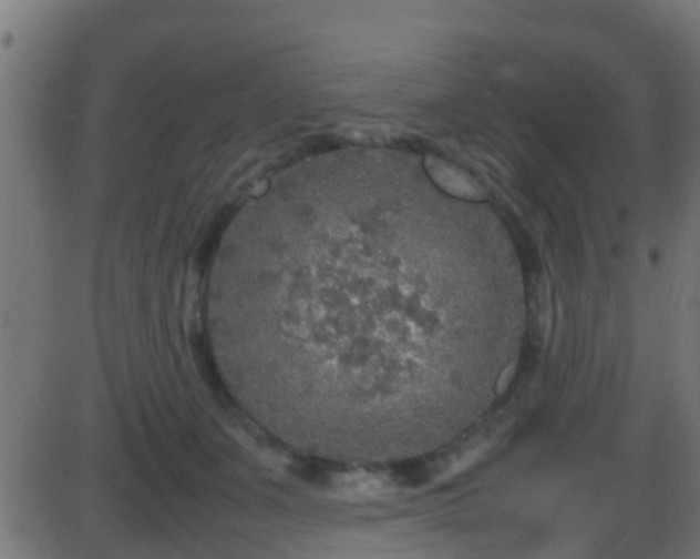 X0000086280511200704051338