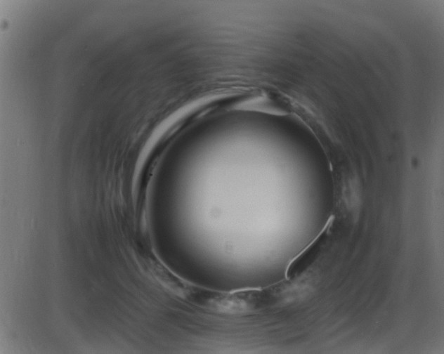 X0000086280512200704051338