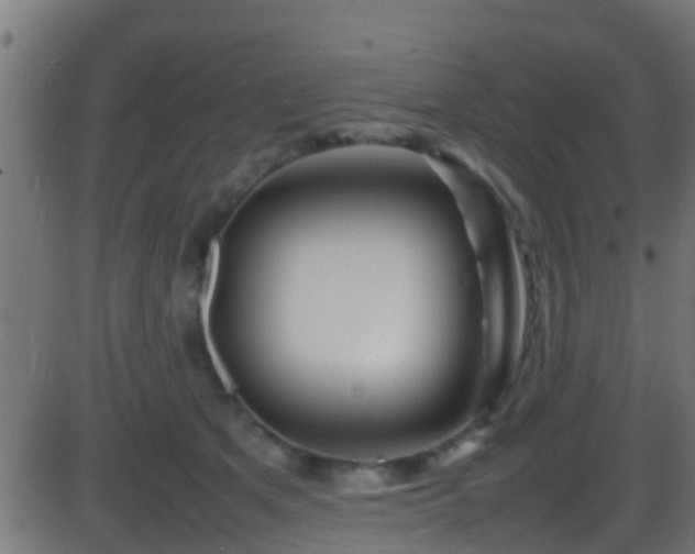 X0000086280513200704051338