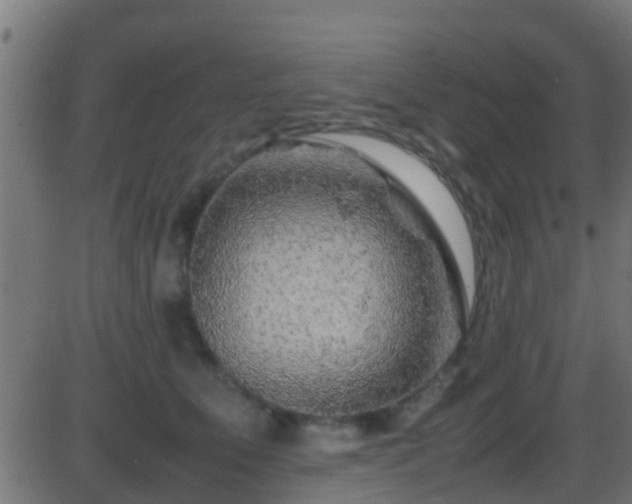 X0000086280515200704051338