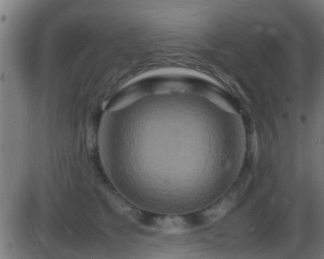 X0000086280517200704051338