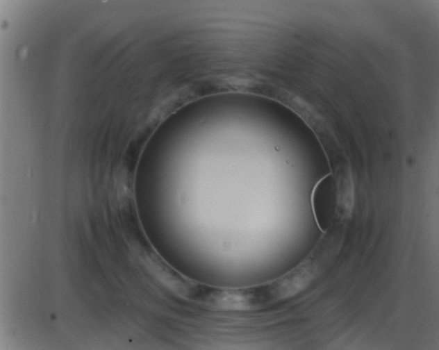 X0000086280518200704051338