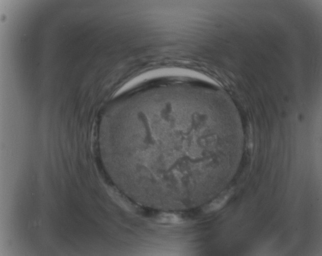 X0000086280519200704051338