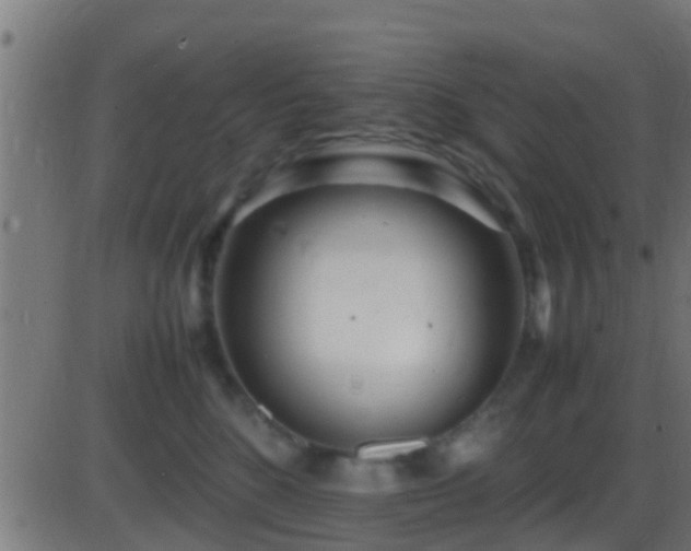 X0000086280520200704051338