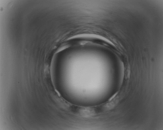 X0000086280521200704051338