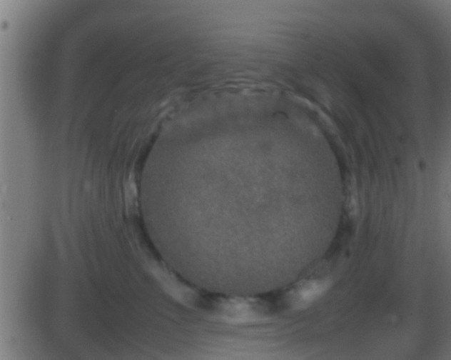 X0000086280523200704051338