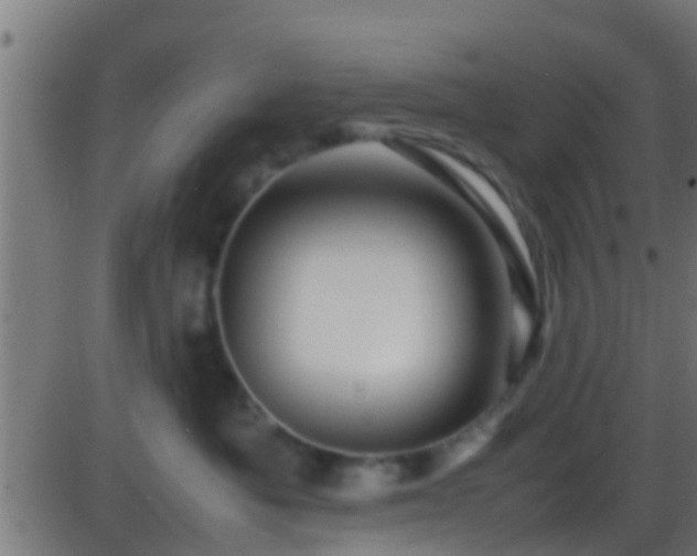 X0000086280525200704051338