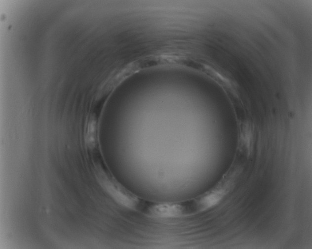 X0000086280526200704051338