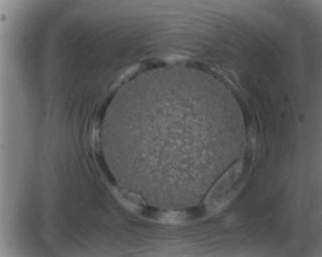 X0000086280527200704051338