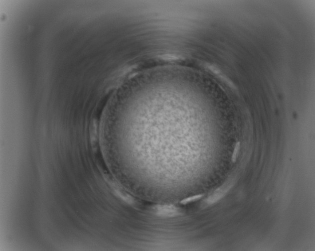 X0000086280528200704051338