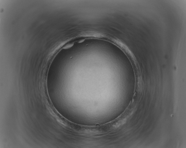 X0000086280529200704051337