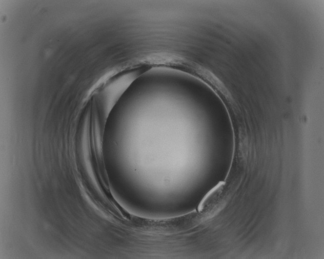 X0000086280530200704051337