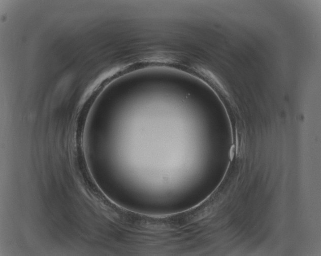 X0000086280531200704051337