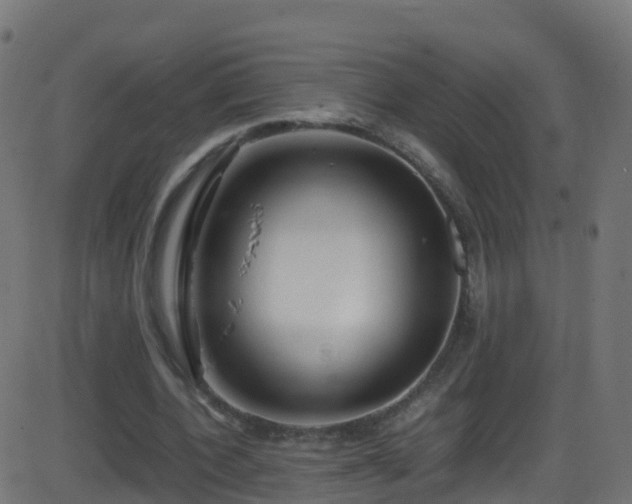 X0000086280532200704051337