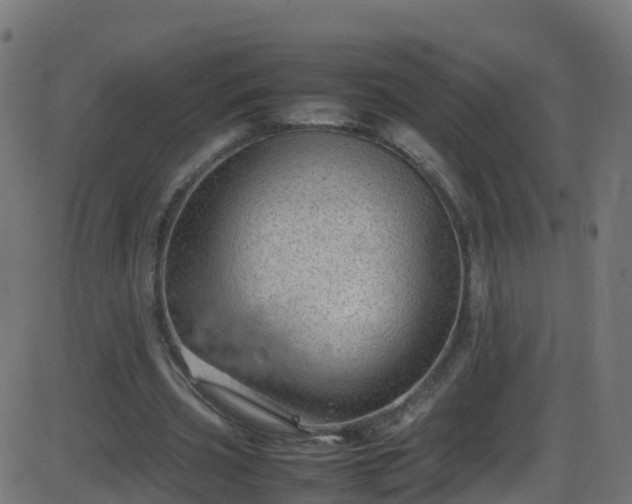 X0000086280533200704051337