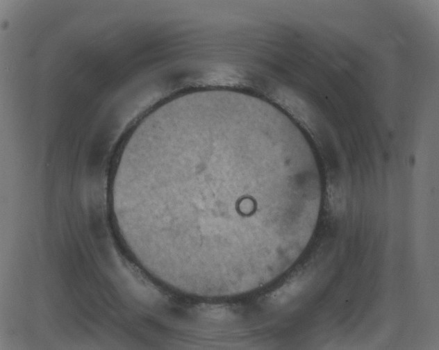 X0000086280534200704051337