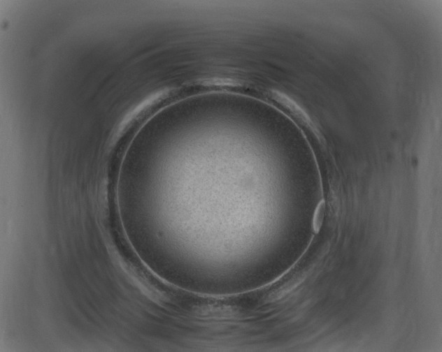 X0000086280535200704051337