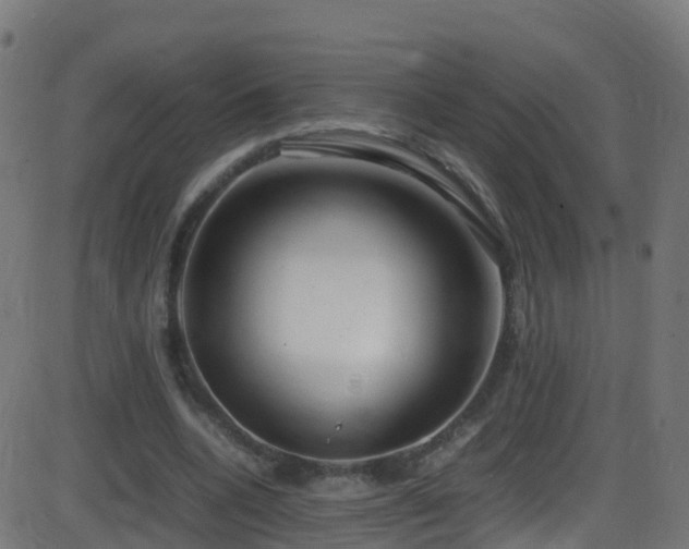 X0000086280536200704051337