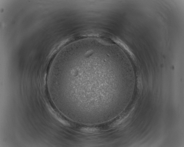 X0000086280537200704051337