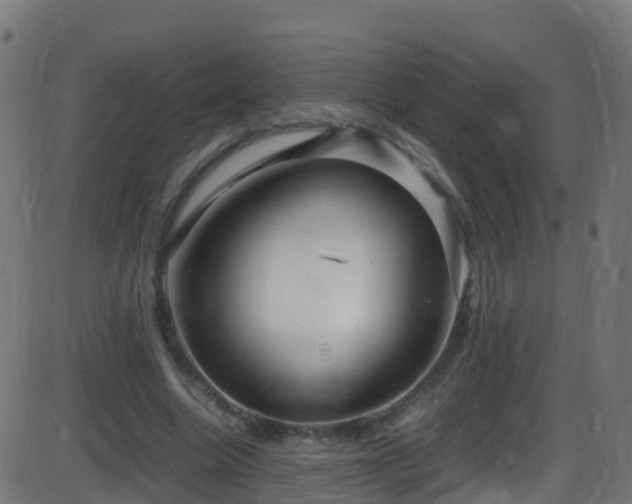 X0000086280538200704051337