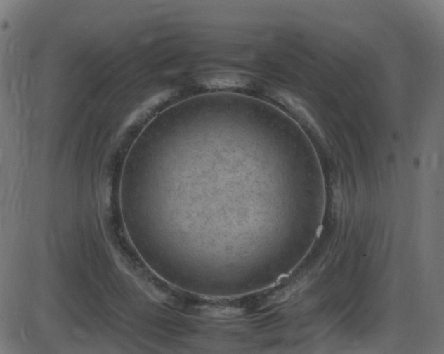 X0000086280539200704051337