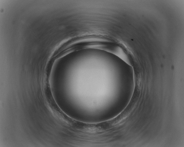 X0000086280540200704051337