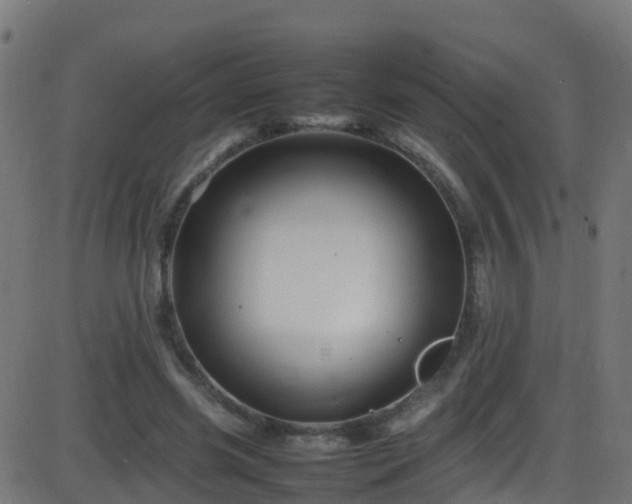 X0000086280541200704051337