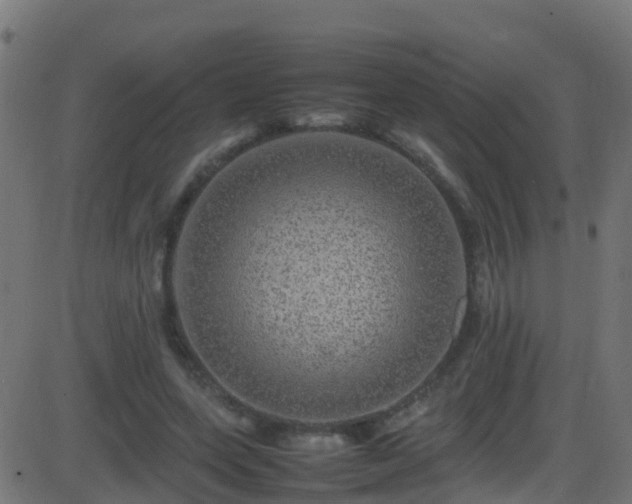 X0000086280543200704051337